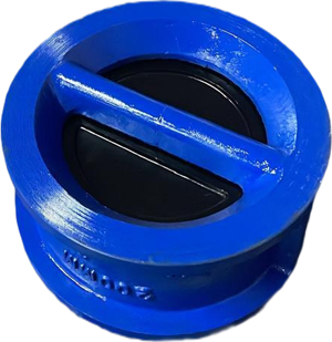 dual plate check valve manufacturer India
